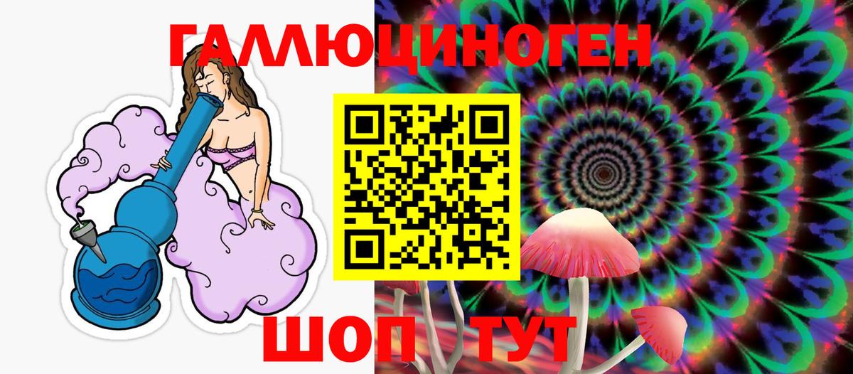 Галлюциногенные грибы Psilocybe Тосно